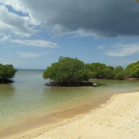 Mangrove Paradise Retreat 蓝梦岛 外观 照片