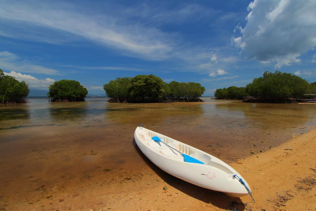 Mangrove Paradise Retreat 蓝梦岛 外观 照片
