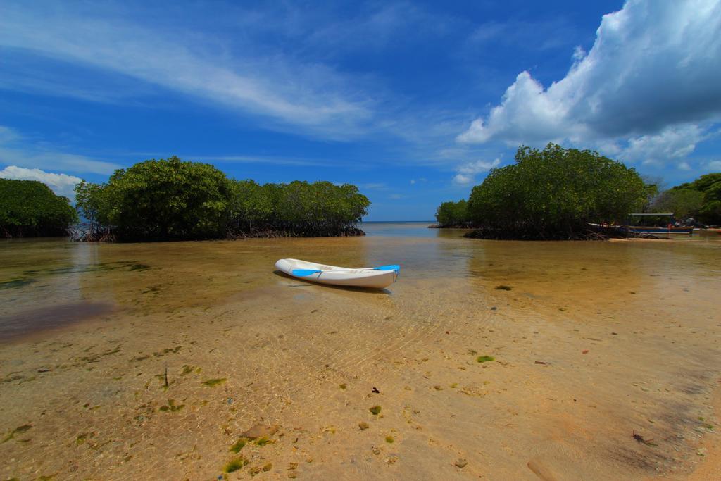 Mangrove Paradise Retreat 蓝梦岛 外观 照片