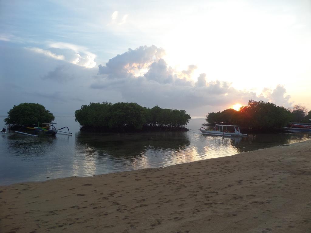 Mangrove Paradise Retreat 蓝梦岛 外观 照片