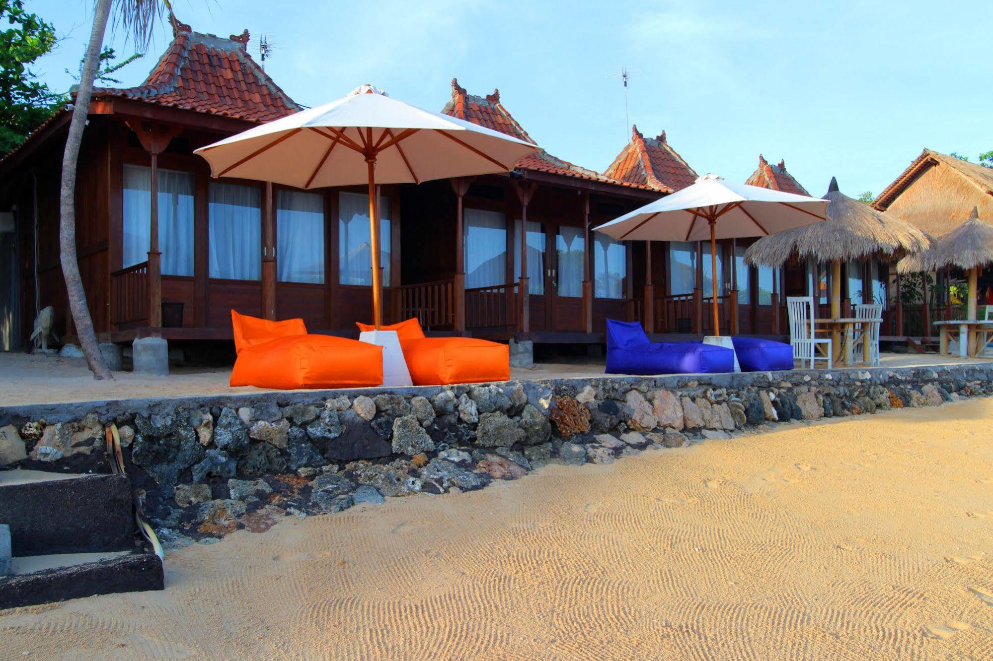 Mangrove Paradise Retreat 蓝梦岛 外观 照片