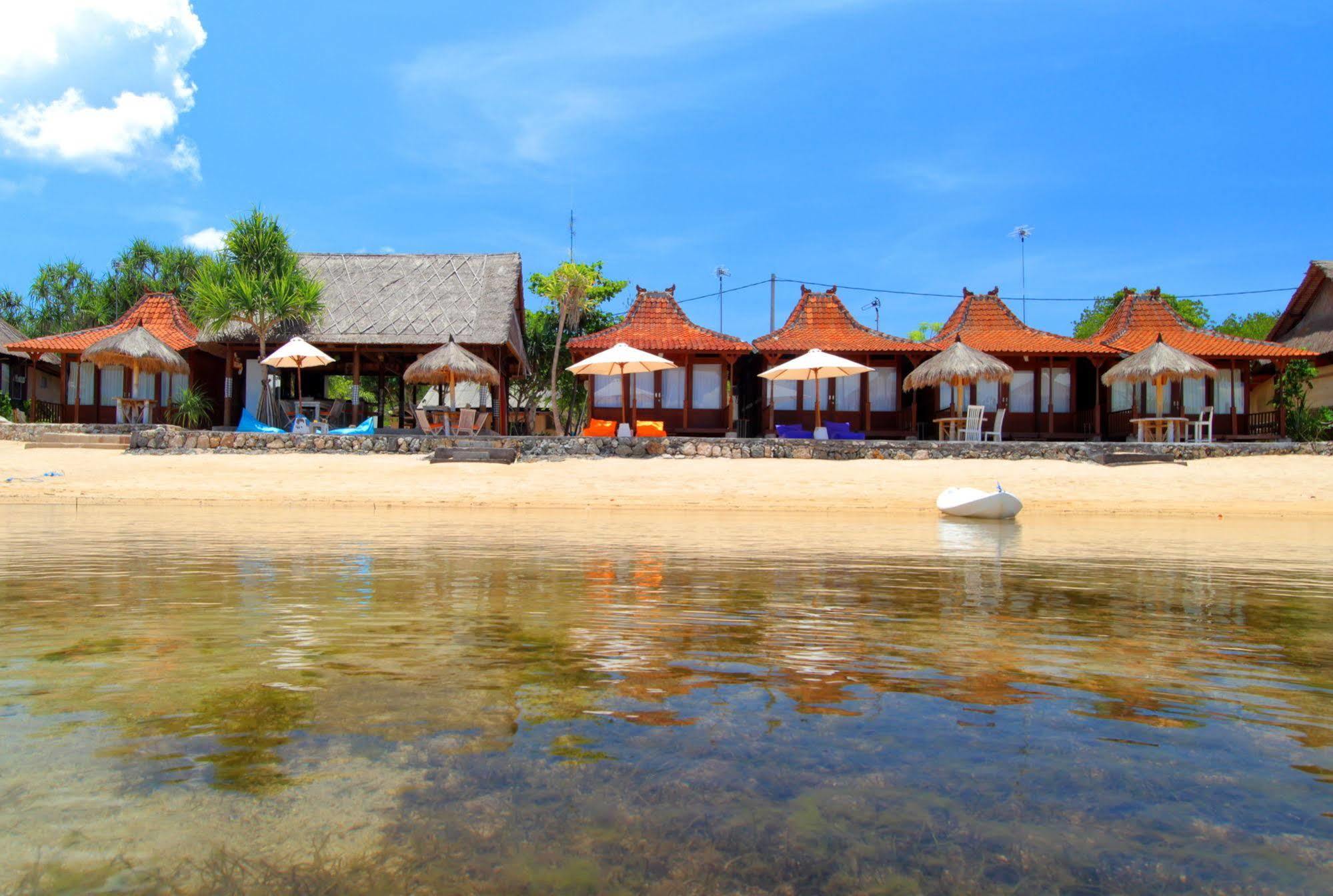 Mangrove Paradise Retreat 蓝梦岛 外观 照片