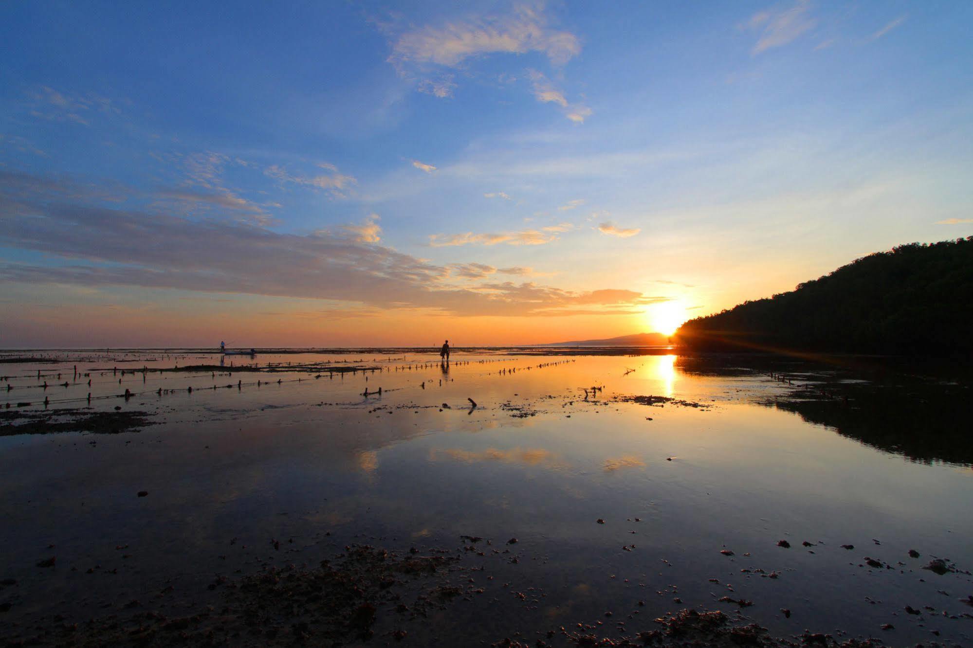 Mangrove Paradise Retreat 蓝梦岛 外观 照片