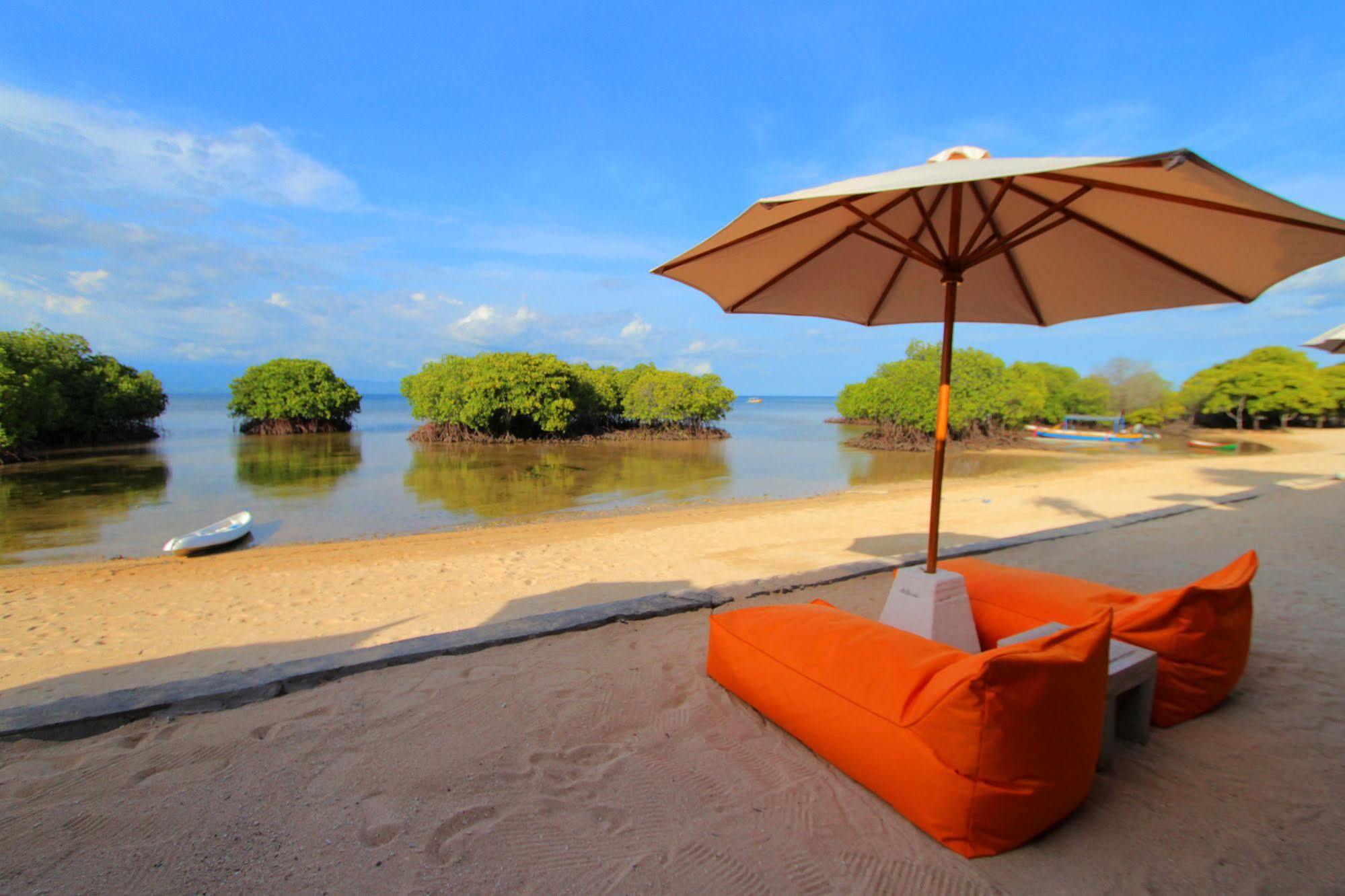 Mangrove Paradise Retreat 蓝梦岛 外观 照片