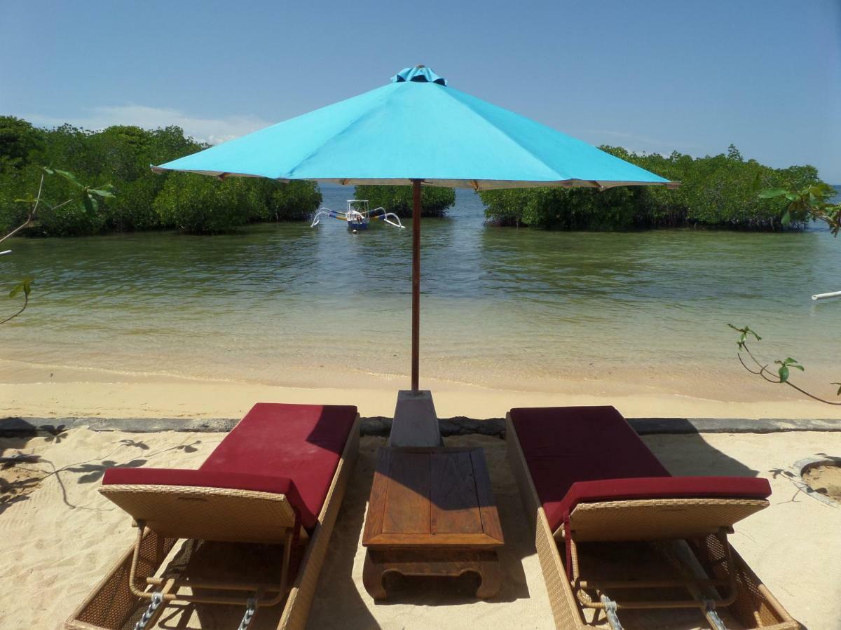 Mangrove Paradise Retreat 蓝梦岛 外观 照片