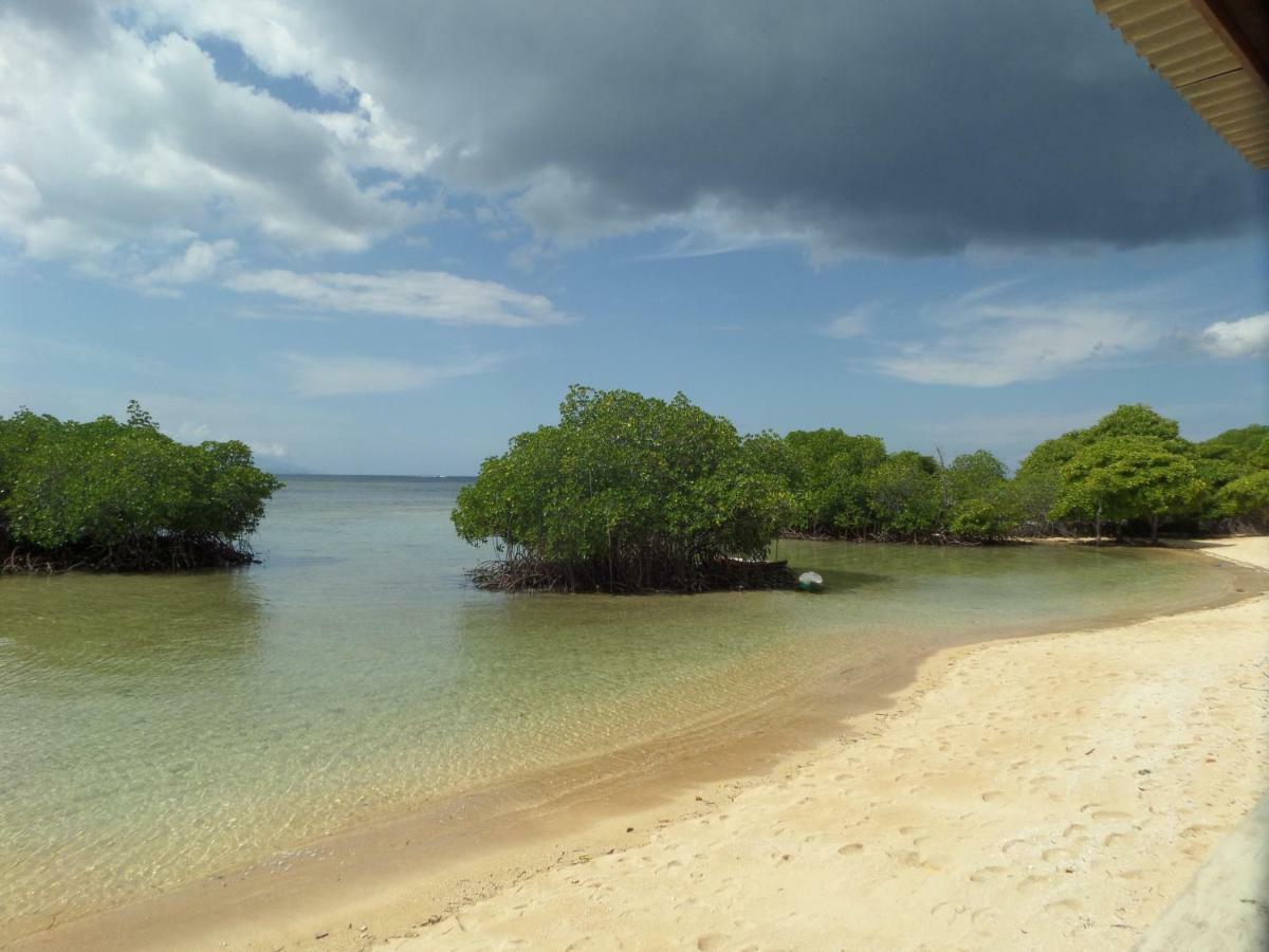 Mangrove Paradise Retreat 蓝梦岛 外观 照片