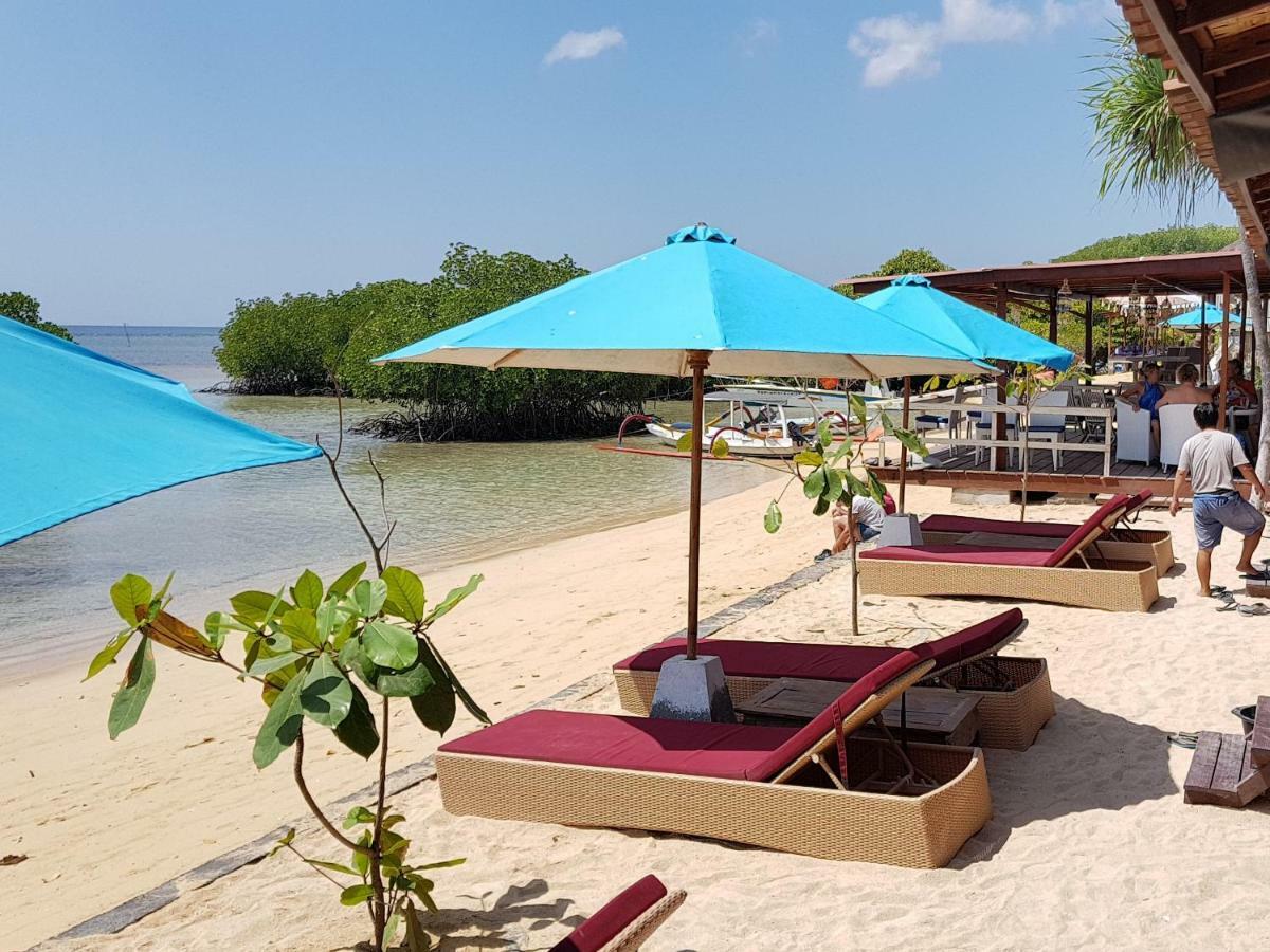 Mangrove Paradise Retreat 蓝梦岛 外观 照片
