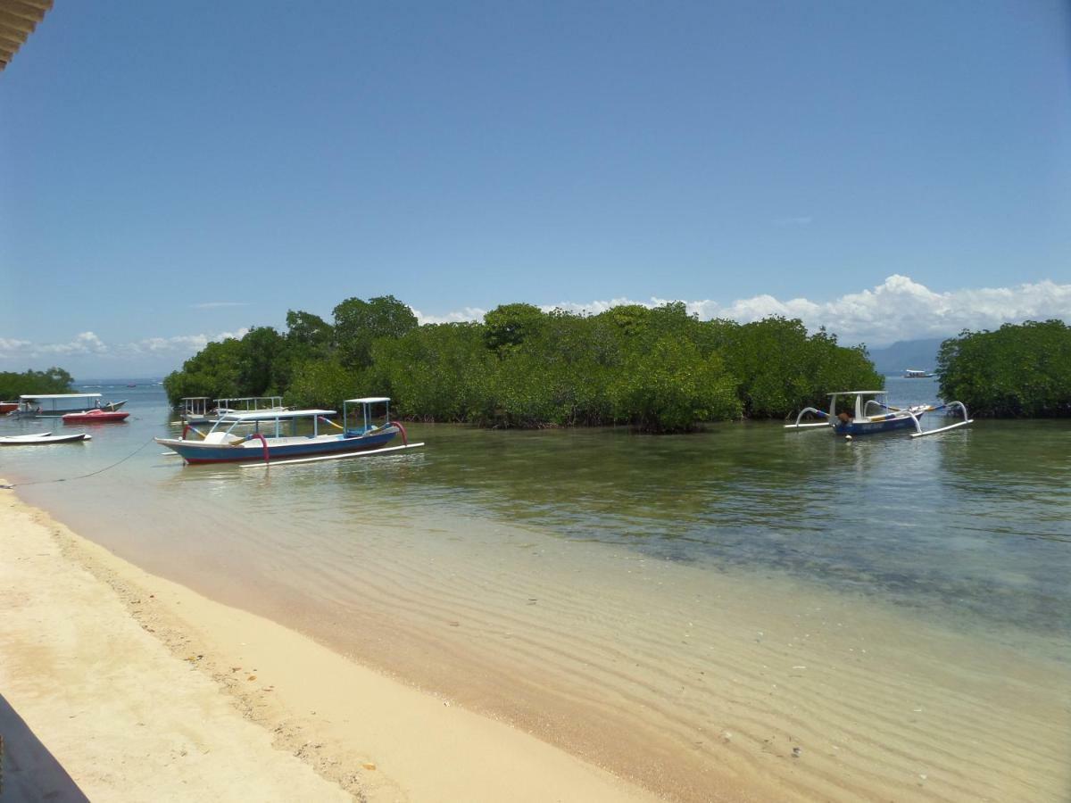 Mangrove Paradise Retreat 蓝梦岛 外观 照片