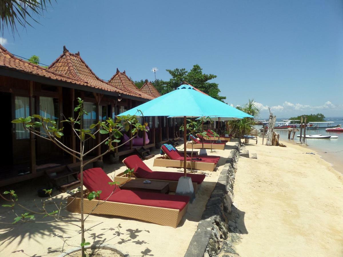 Mangrove Paradise Retreat 蓝梦岛 外观 照片