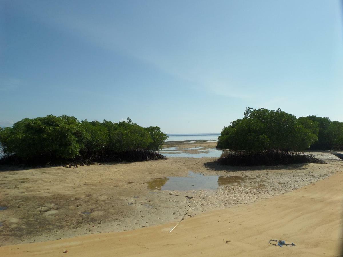 Mangrove Paradise Retreat 蓝梦岛 外观 照片