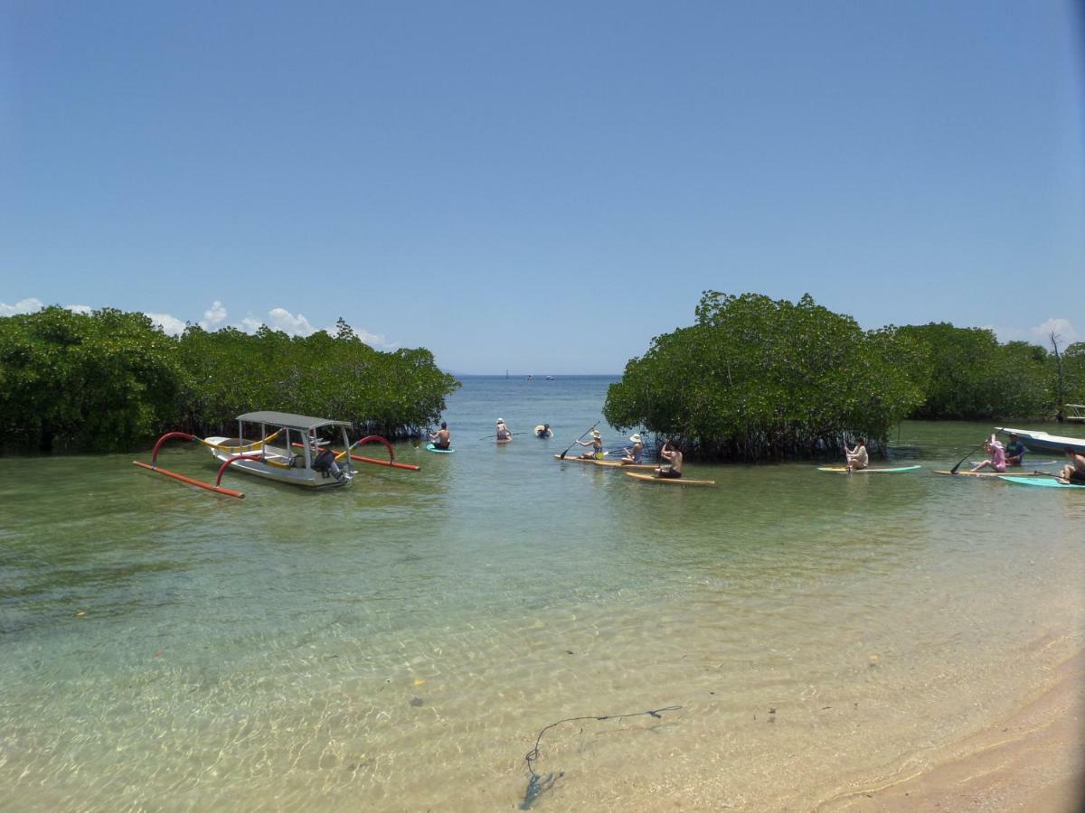 Mangrove Paradise Retreat 蓝梦岛 外观 照片