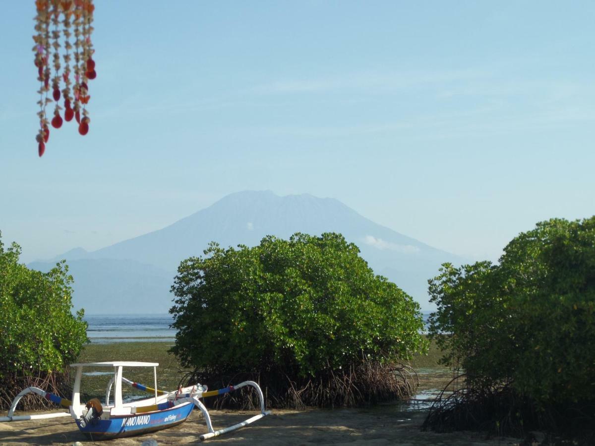 Mangrove Paradise Retreat 蓝梦岛 外观 照片